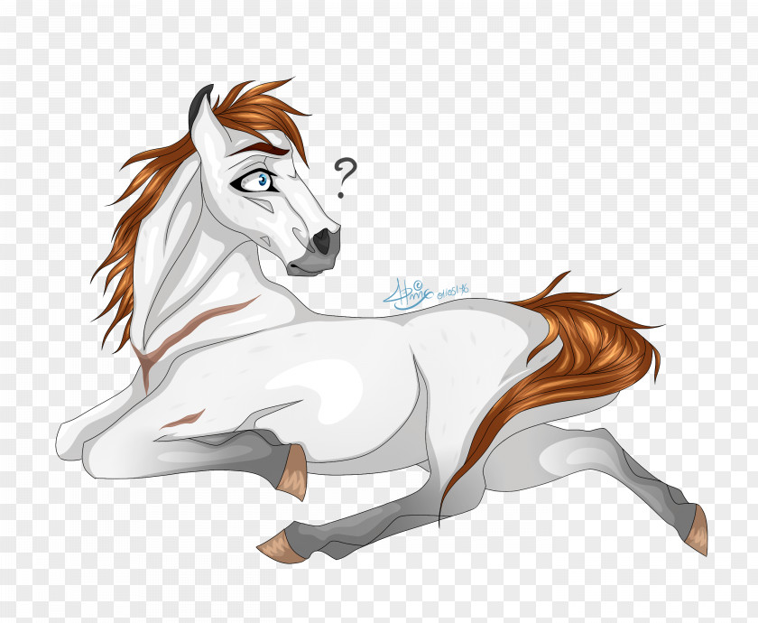 Mustang Mane Foal Stallion Colt PNG