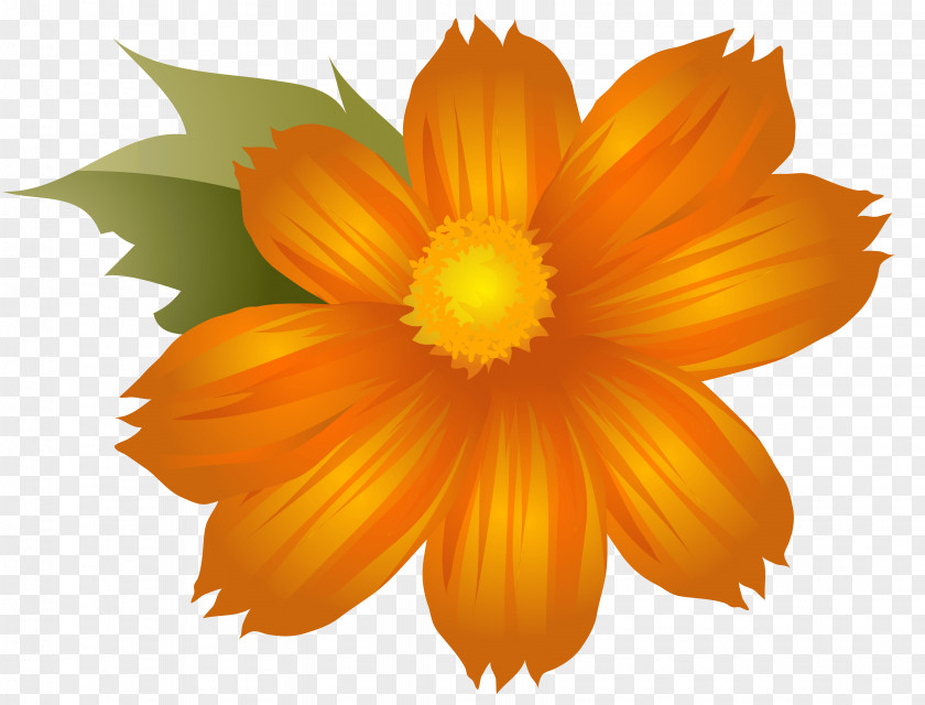 Orange Flowers Cliparts Flower Clip Art PNG