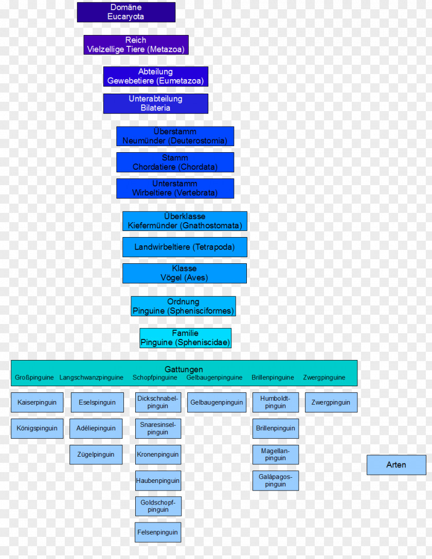 Penguin ござ Brand Systematics Organization PNG