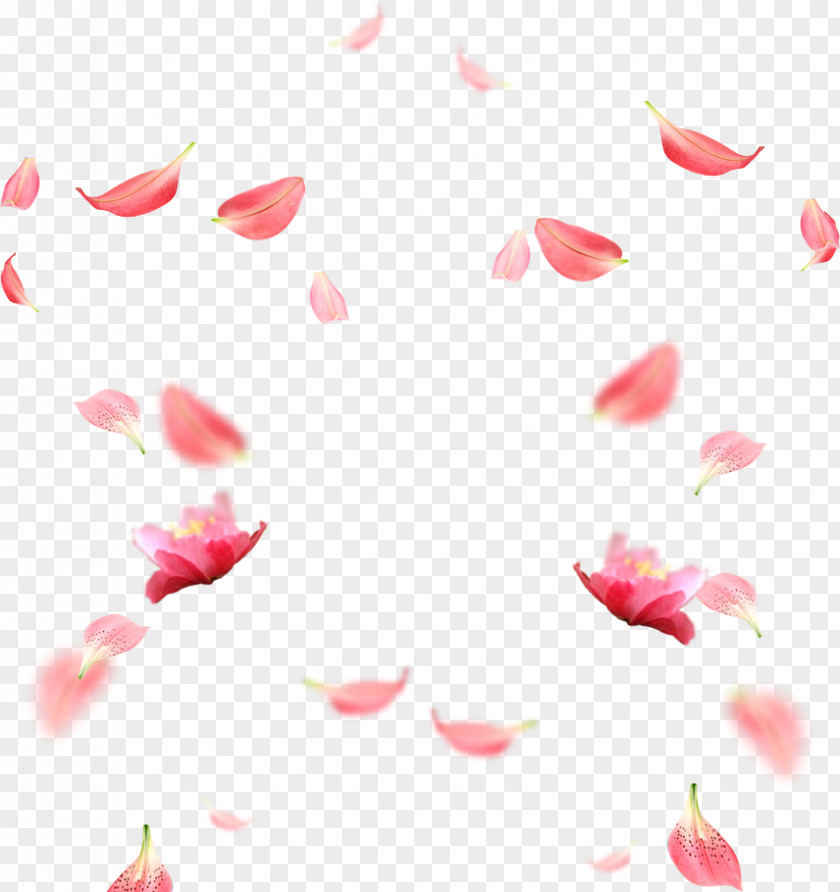 Cherry Blossom Petals Picture Material Petal RGB Color Model Download PNG