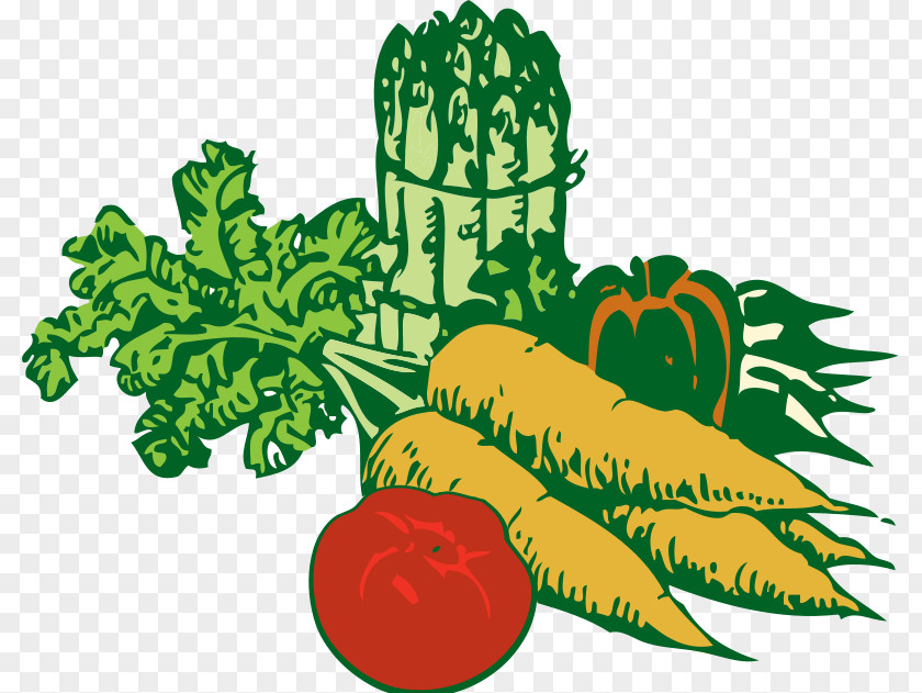 Food Group Images Vegetable Fruit Clip Art PNG
