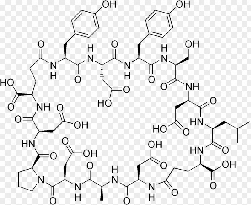 Subtilis Mycobacillin Hay Bacillus Bacteria Cyclic Peptide Merck Index PNG