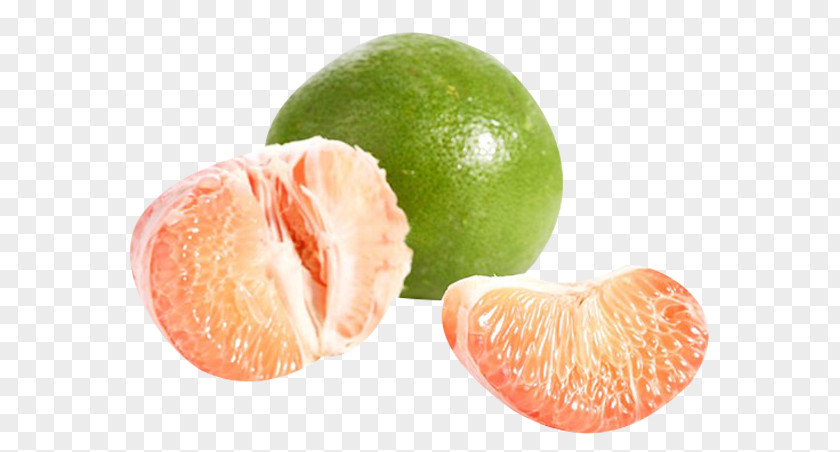 Add Vitamin Grapefruit Meat Clementine Tangerine Pomelo Lime PNG