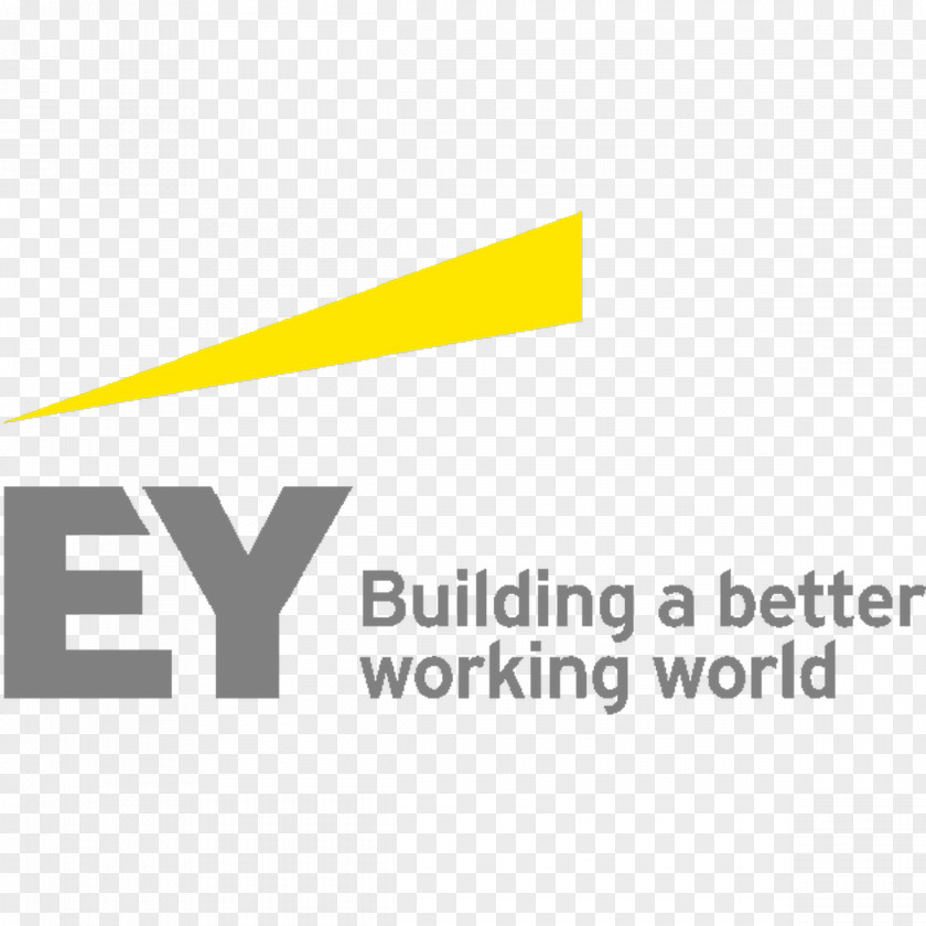 Business Ernst & Young Financial Adviser Tax Assurance Services PNG
