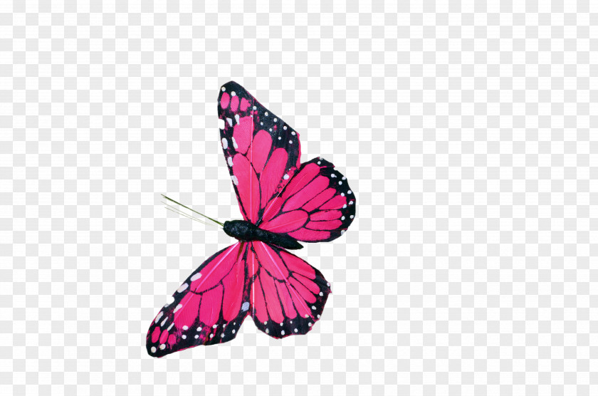 Butterfly Watercolor Painting Clip Art PNG