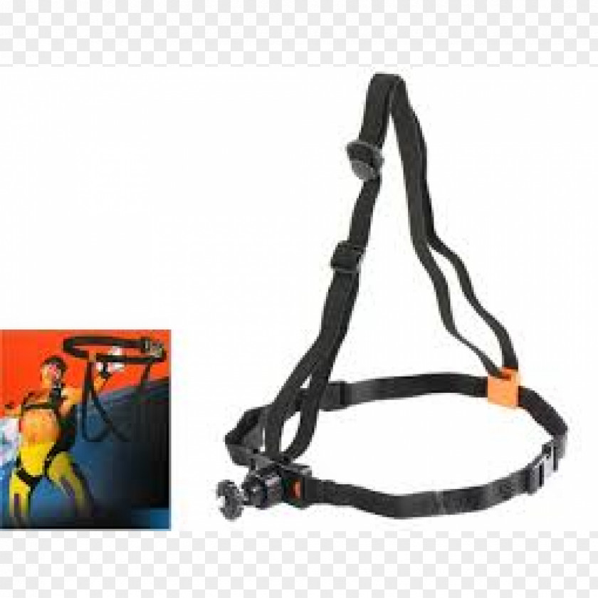 Extreme Sports Leash Climbing Harnesses Belt Strap Safety Harness PNG