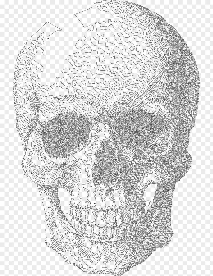 Facial Hair Supporto Human Skull Drawing PNG