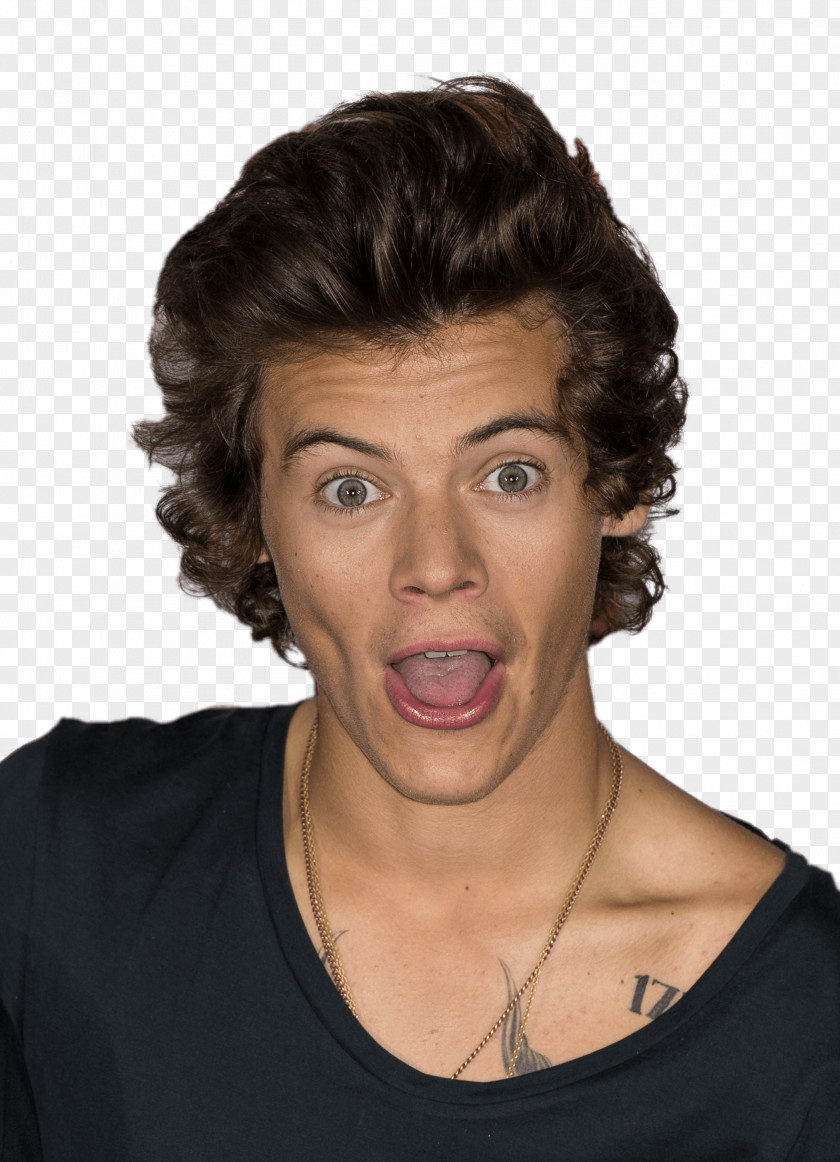 One Direction Harry Styles Direction: This Is Us Hairstyle PNG