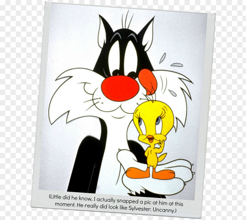 Sylvester And Tweety Bugs Bunny Daffy Duck Tasmanian Devil PNG