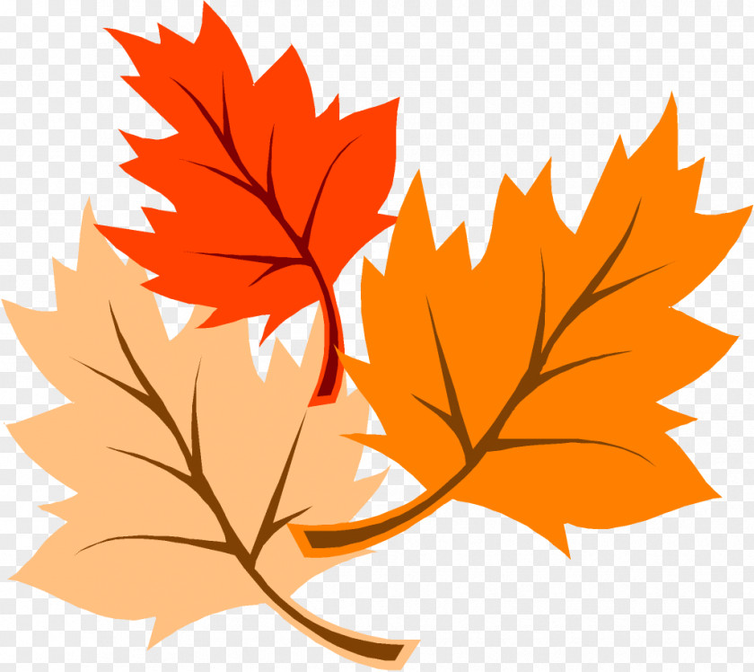 Thanksgiving Leaves PNG Leaves, three red, orange, and yellow leaves clipart PNG