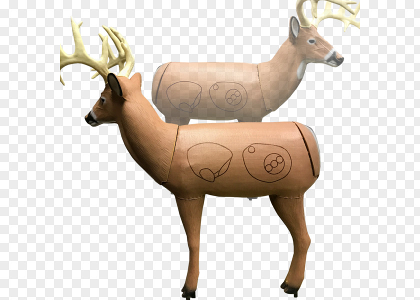 3D Archery Equipment Elk Reindeer Target PNG