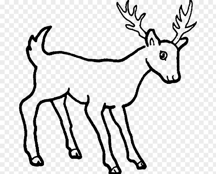 Deer Drawing Image Sketch Cartoon PNG