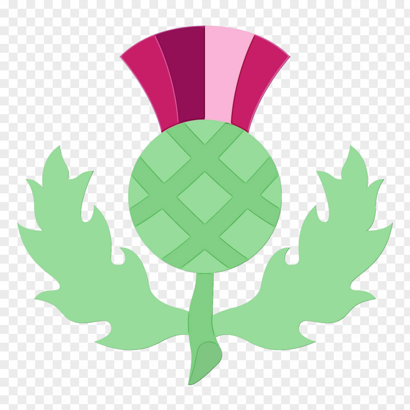 Emblem Symbol Leaf Watercolor PNG
