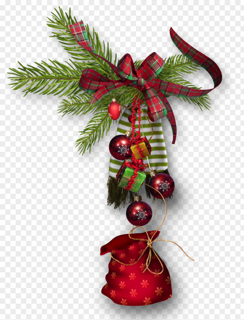 Evergreen Twig Christmas And New Year Background PNG