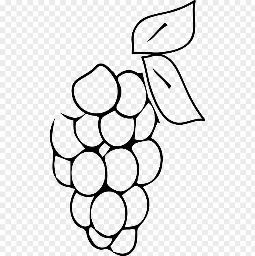 Grape Coloring Book Fruit Berry Drawing PNG