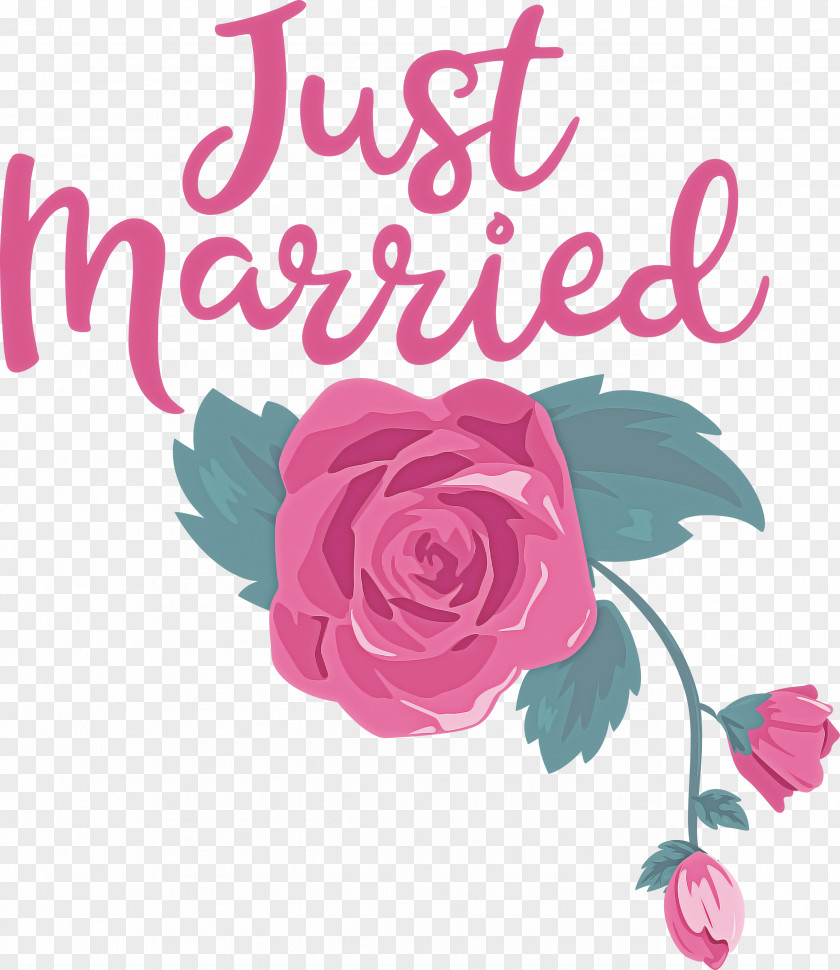 Just Married Wedding PNG