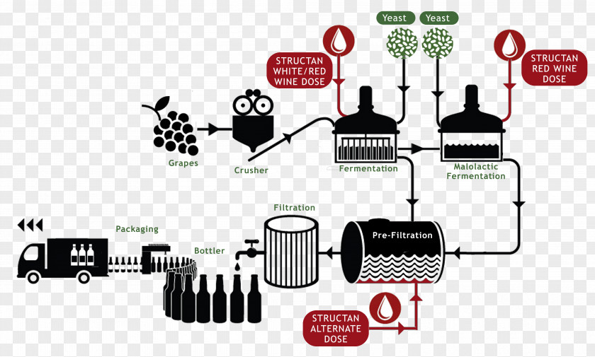 Making Process Winemaking Beer White Wine Dose PNG