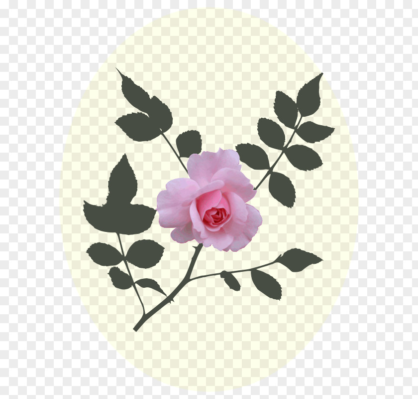 Rose Pink Clip Art PNG