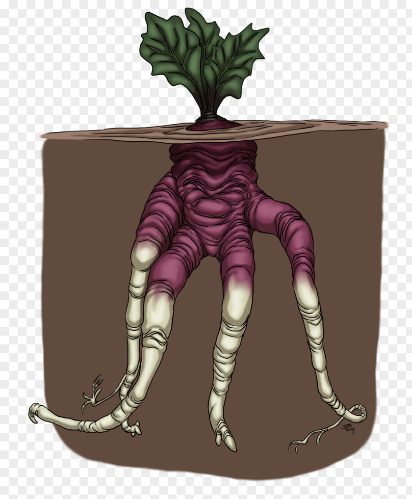 Beet Mockup Illustration Tree Cartoon Legendary Creature PNG