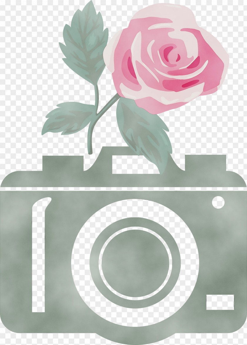 Floral Design PNG