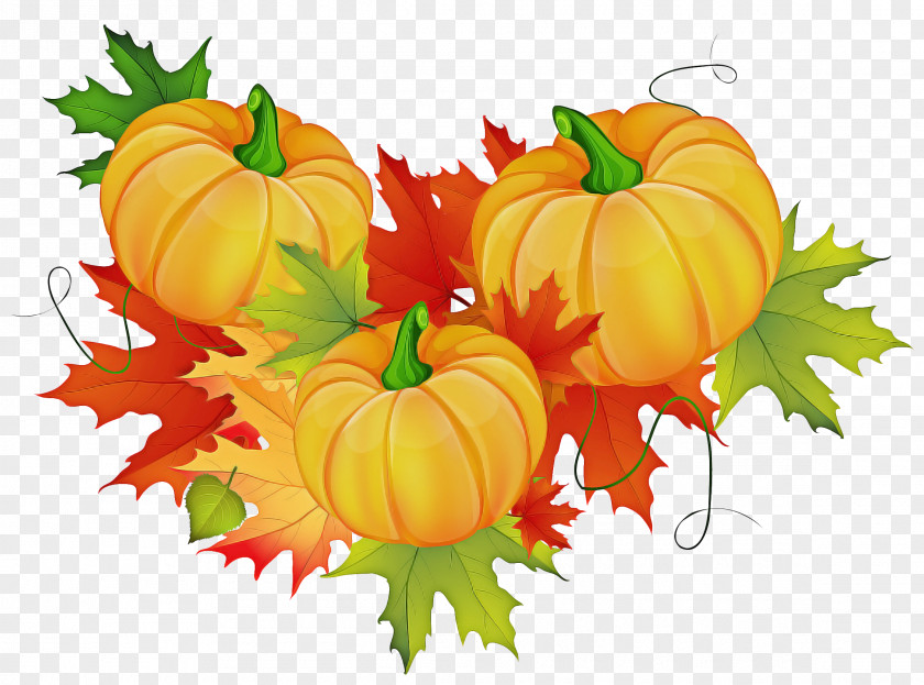 Flower Thanksgiving Autumn Plant PNG