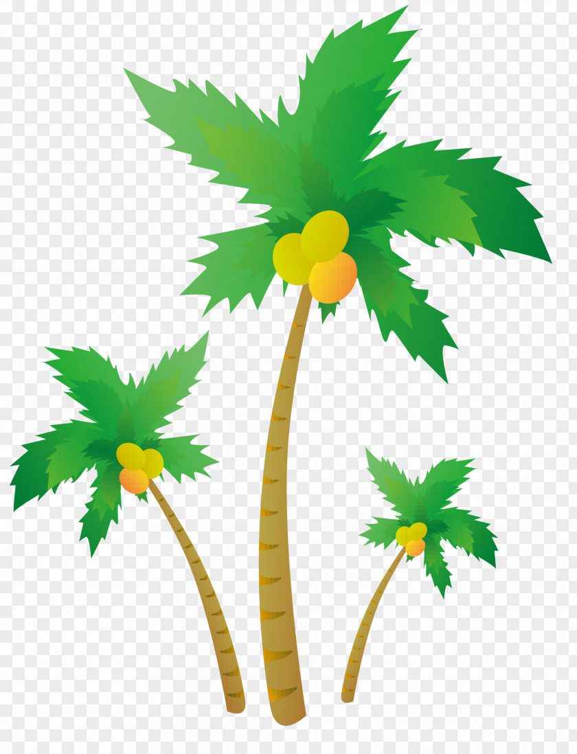 Green Coconut Cartoon Paper Poster Vacation PNG