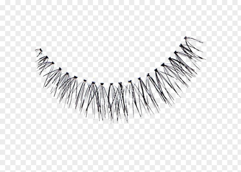 Hair Eyelash Extensions Artificial Integrations Beauty PNG