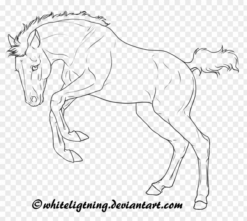 Line Drawing Arabian Horse American Quarter Foal Mare Art PNG