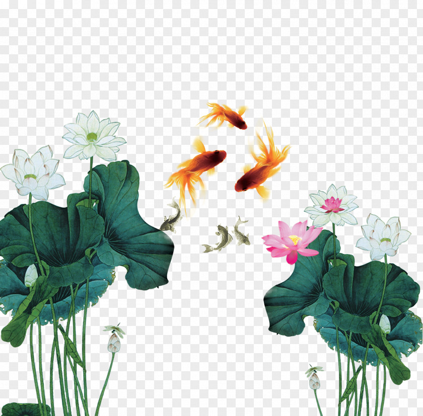 Lotus And Fish Material China Mid-Autumn Festival Clip Art PNG