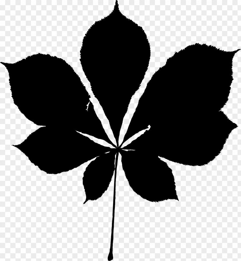 M Leaf Silhouette Plant Stem Flowering Black & White PNG