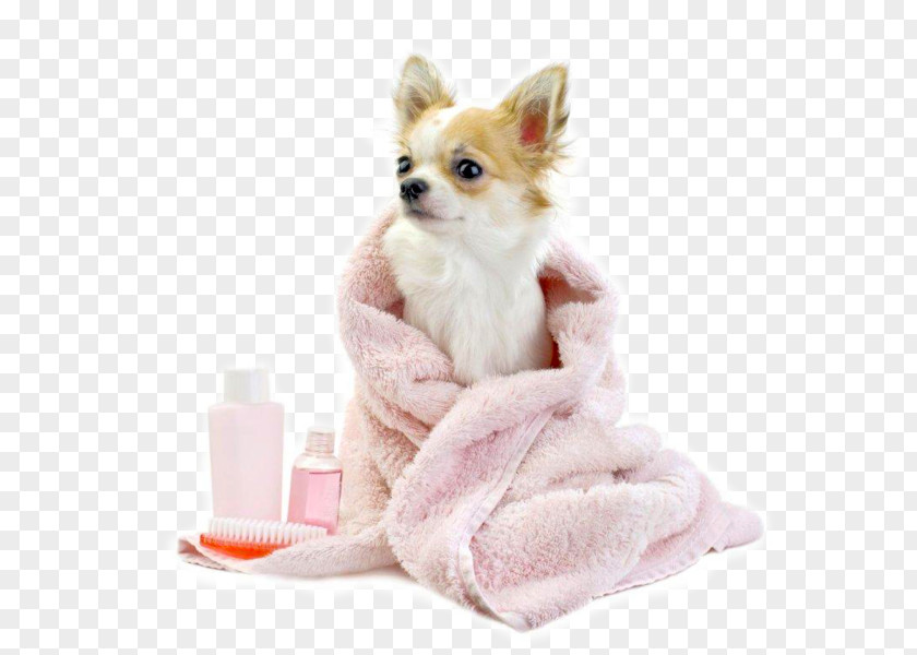 Pink Skin Puppy Dog Companion PNG