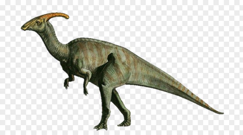 Dinosaur Parasaurolophus Triceratops Brachiosaurus Velociraptor PNG