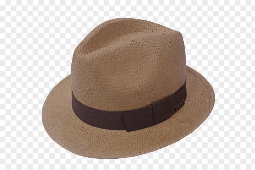 Hat Fedora Panama Trilby Wool PNG