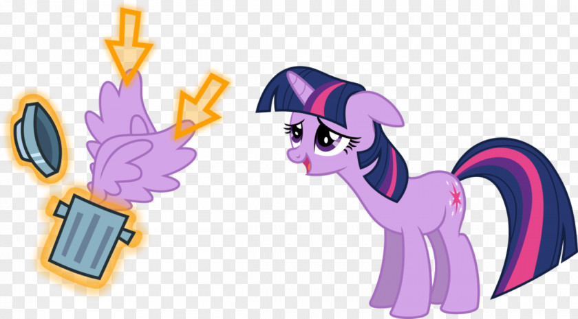Nothing's Gonna Change My Love For You Pony Twilight Sparkle Sunset Shimmer Pinkie Pie Rarity PNG