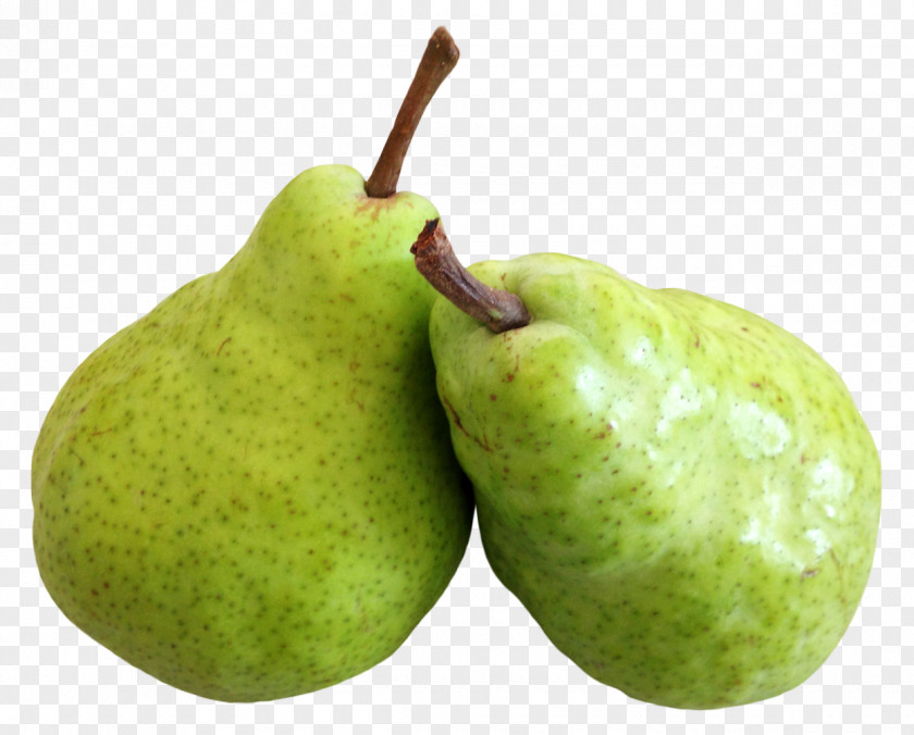 Pear Asian Fruit PNG