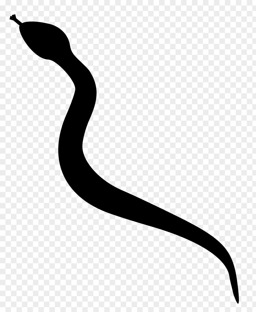Snake Silhouette Clip Art PNG