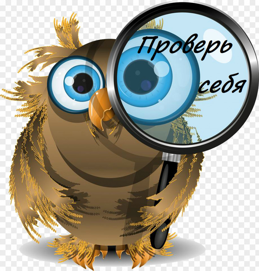 Watercolor Owl 4 Pics 1 Word Magnifying Glass PNG