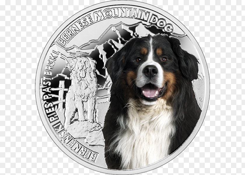 Bernese Mountain Dog Breed Greater Swiss Coin PNG
