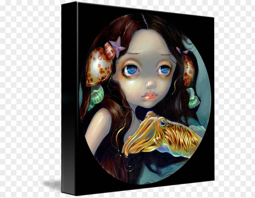 Cuttle Craft Magnets Cephalopod Centimeter Nymph PNG