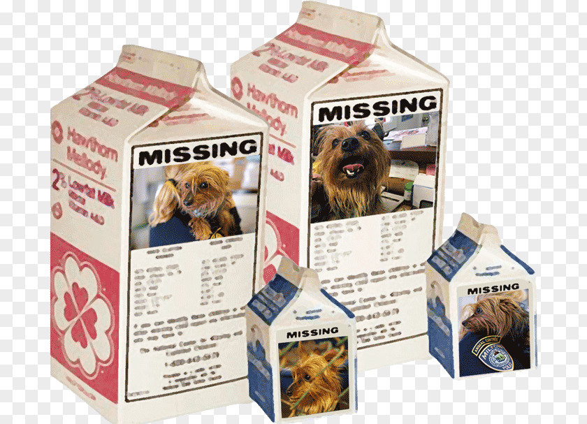 Dog Carton PNG