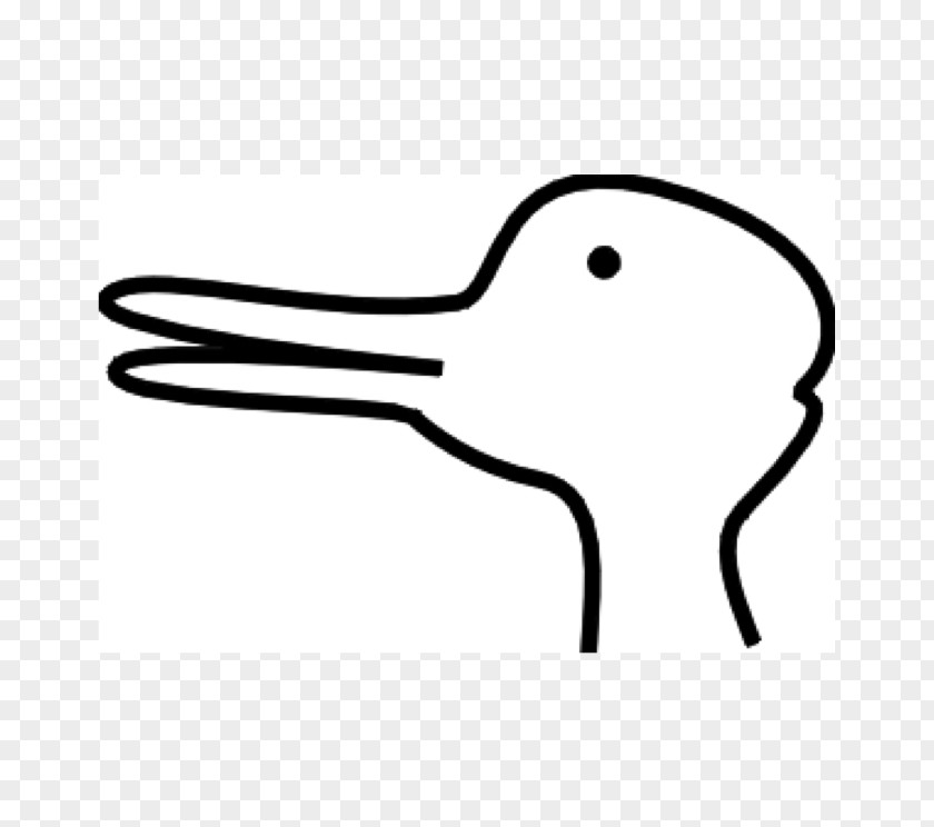DUCK Phenomenology Philosophy Essence Consciousness Concept PNG