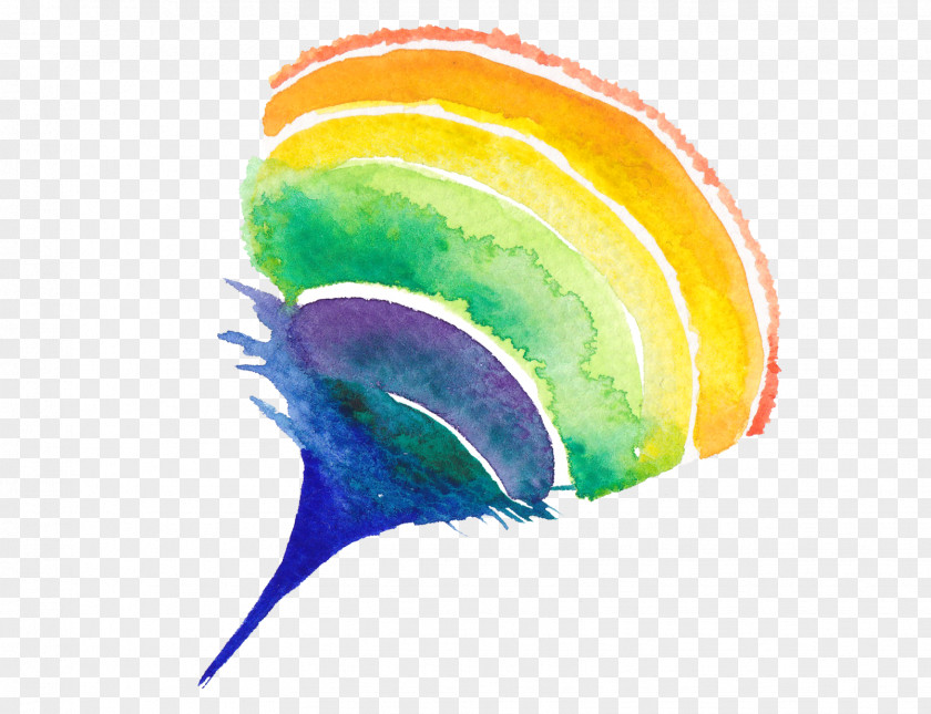 Rainbow Creative Watercolor Circle Painting PNG