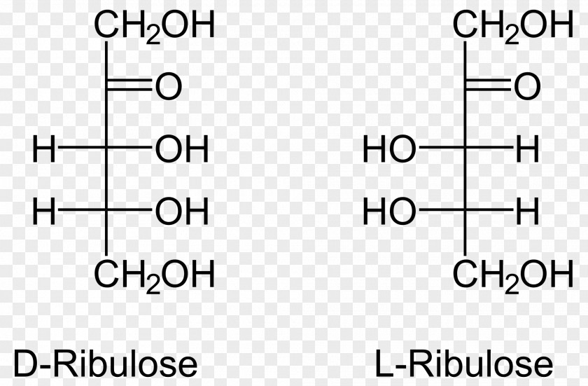 Ribulose 5-phosphate Ribose Arabinose 1,5-bisphosphate PNG