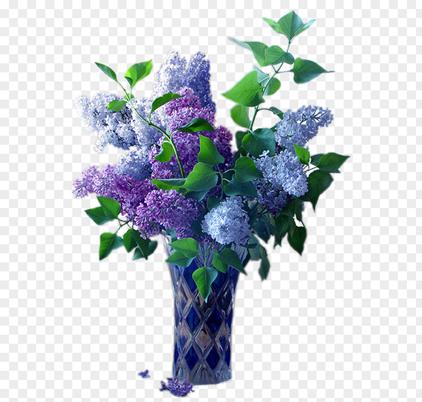 Vase Violet PNG