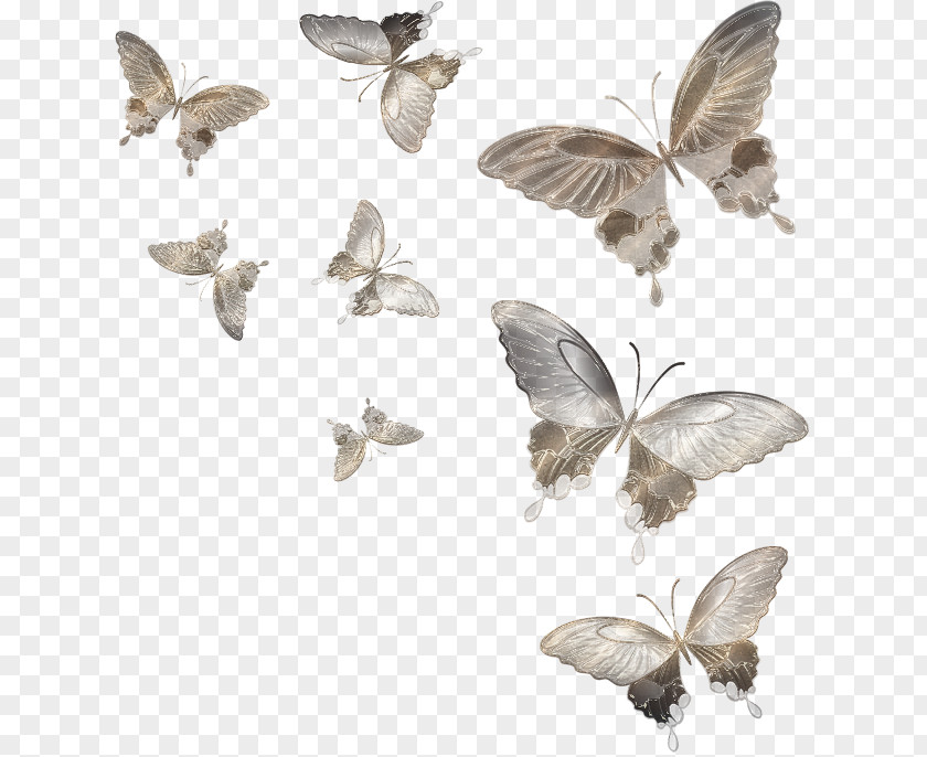 Butterfly Moth Insect Clip Art PNG