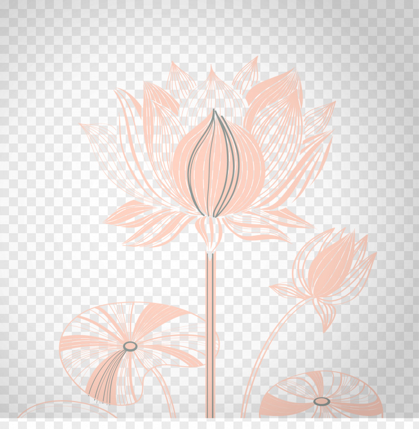 Creative Design Vector Lotus Floral Art Petal PNG