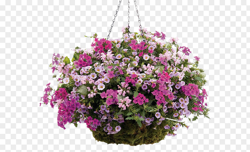 Flower Hanging Basket Annuals And Perennials Annual Plant Garden Centre PNG