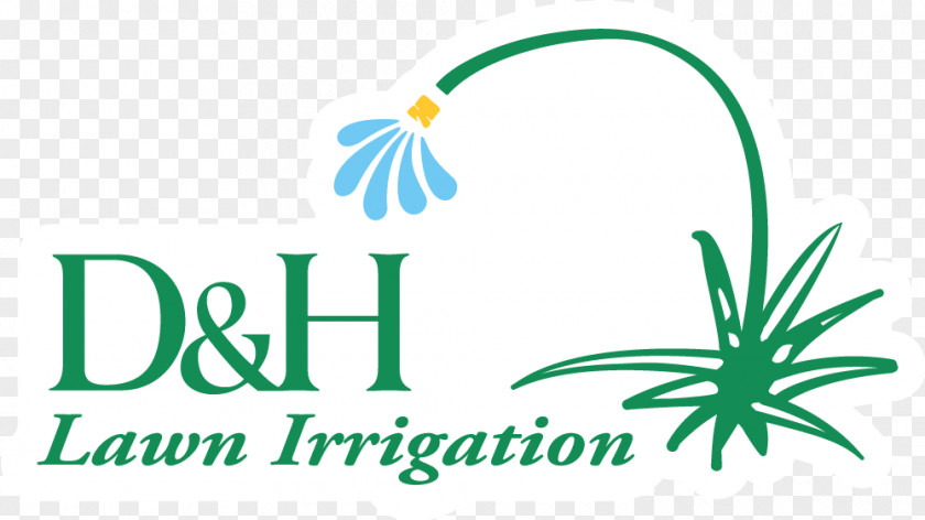 Leaf Logo Plant Stem Graphic Design PNG