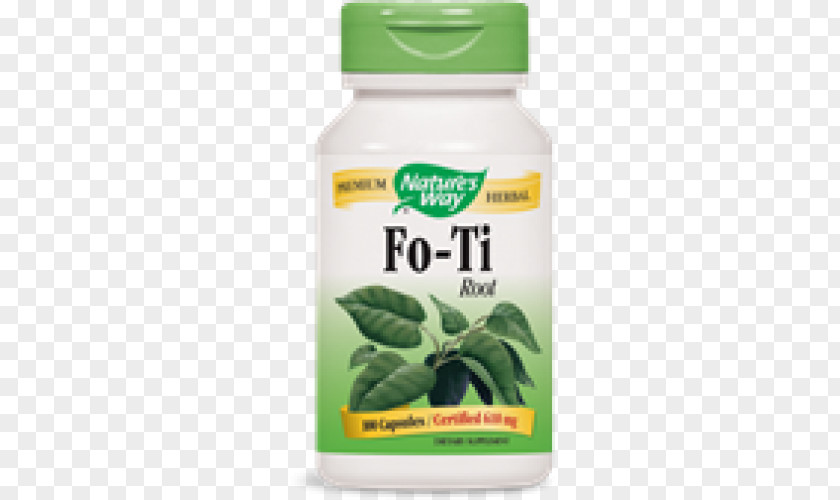 Polygonum Fallopia Multiflora Dietary Supplement Knotweed Antioxidant Centella Asiatica PNG