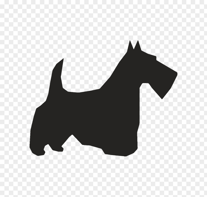 Silhouette Scottish Terrier American Pit Bull Boston PNG